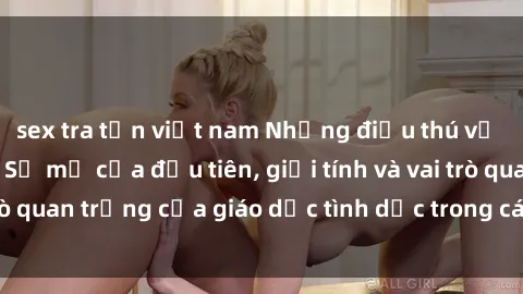 sex tra tấn việt nam Những điều thú vị về sex ở Bắc Âu: Sự mở cửa đầu tiên, giới tính và vai trò quan trọng của giáo dục tình dục trong các quốc gia này.